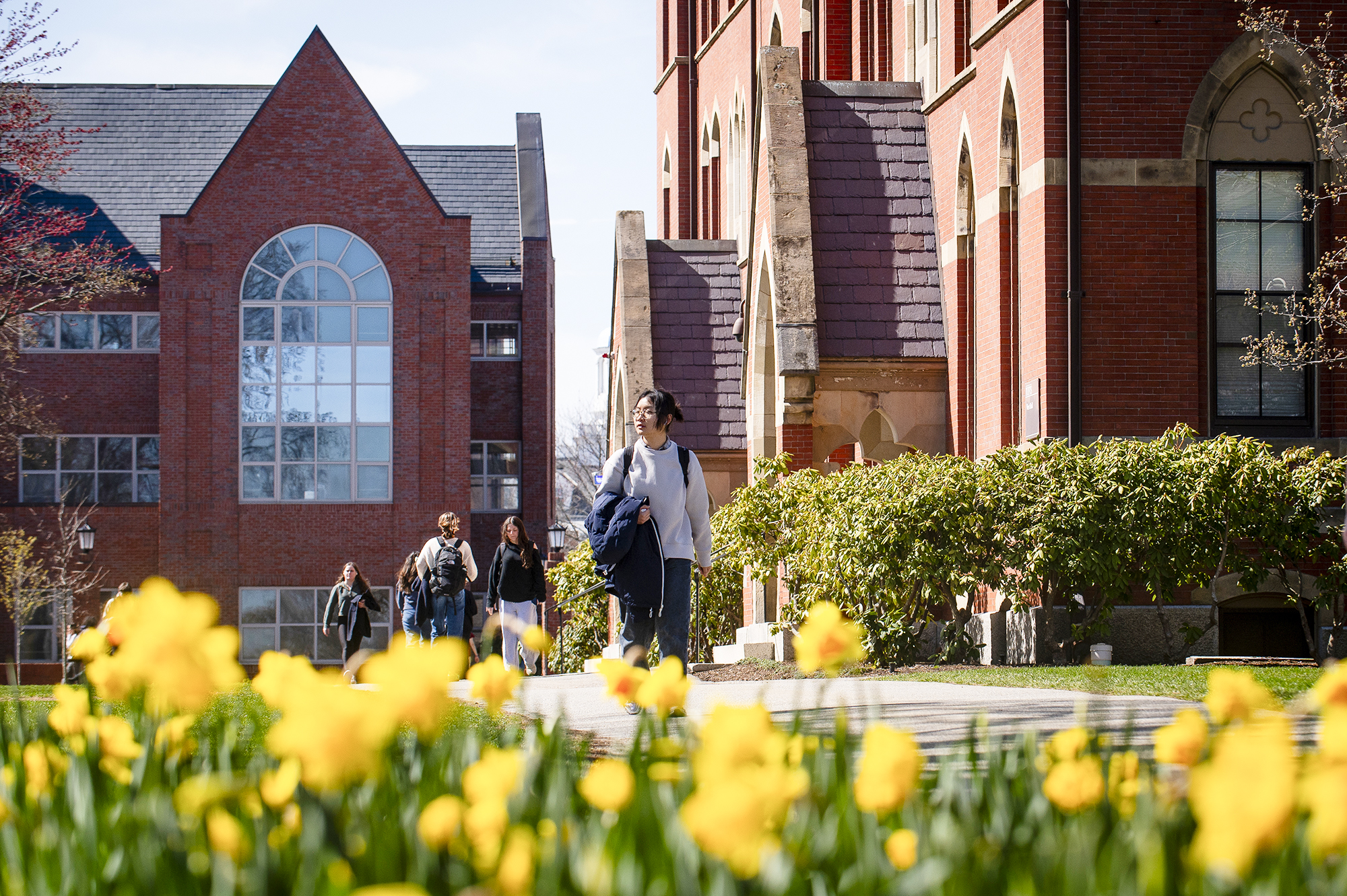 Students walk along a path on the Academic Quad.
