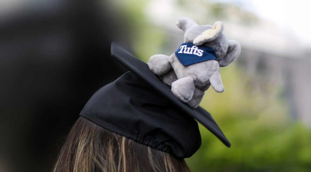 A stuffed Tufts Jumbo decorates a graduation cap.